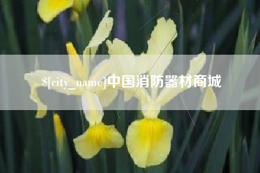 毕节中国消防器材商城