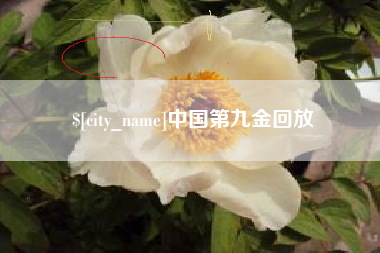 毕节中国第九金回放