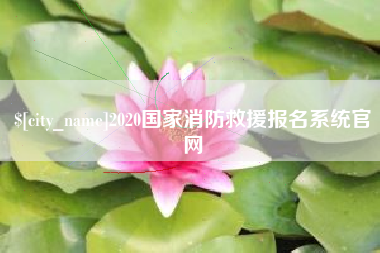 毕节2020国家消防救援报名系统官网