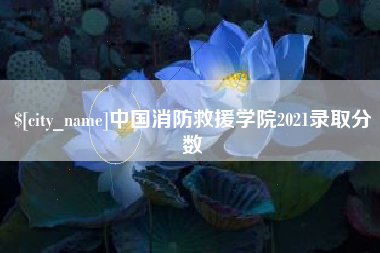毕节中国消防救援学院2021录取分数