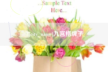 毕节九宫格牌子