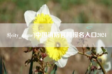 毕节中国消防官网报名入口2024