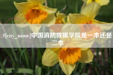 毕节中国消防救援学院是一本还是二本
