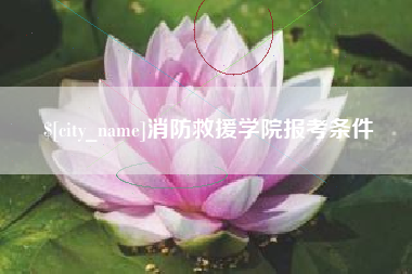 毕节消防救援学院报考条件