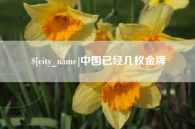 毕节中国已经几枚金牌