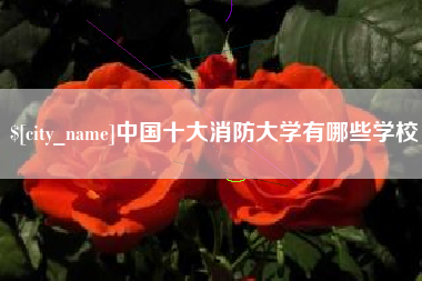 毕节中国十大消防大学有哪些学校