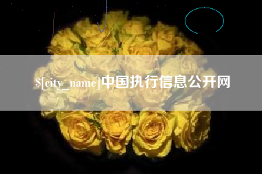 毕节中国执行信息公开网