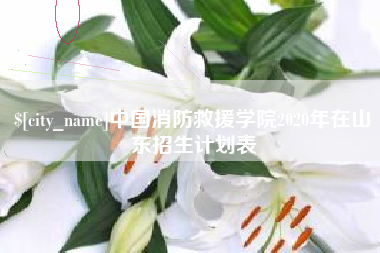 毕节中国消防救援学院2020年在山东招生计划表