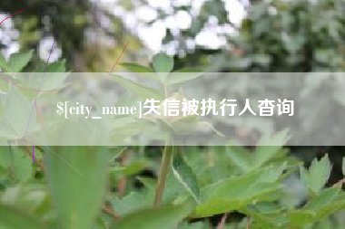 毕节失信被执行人杳询