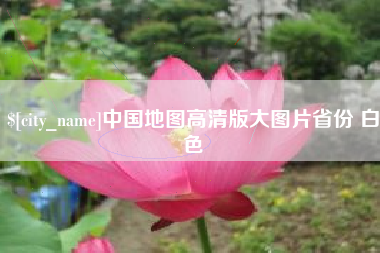 毕节中国地图高清版大图片省份 白色