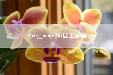 毕节邱县王子磊