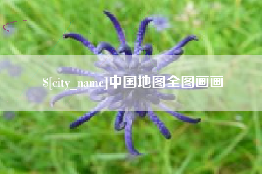 毕节中国地图全图画画
