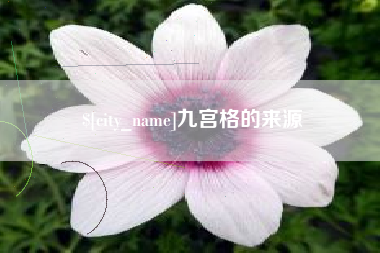 毕节九宫格的来源