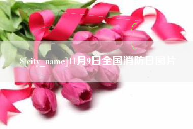 毕节11月9日全国消防日图片