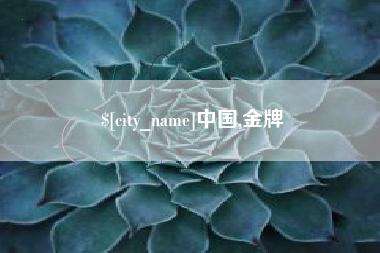 毕节中国,金牌