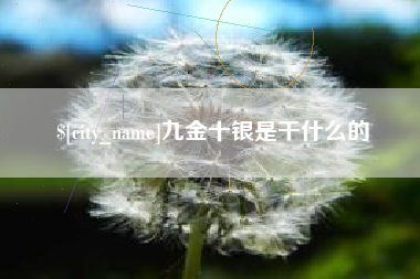 毕节九金十银是干什么的
