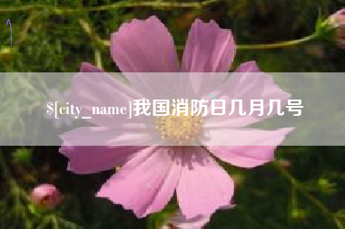 毕节我国消防日几月几号