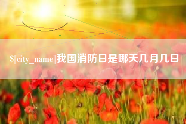 毕节我国消防日是哪天几月几日