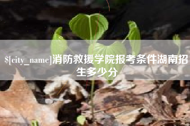 毕节消防救援学院报考条件湖南招生多少分