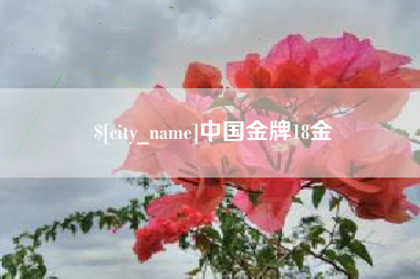 毕节中国金牌18金