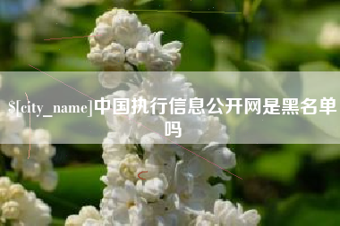 毕节中国执行信息公开网是黑名单吗