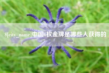 毕节中国6枚金牌是哪些人获得的