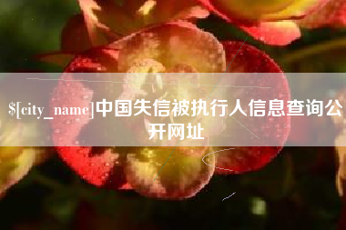 毕节中国失信被执行人信息查询公开网址