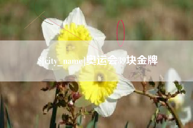 毕节奥运会39块金牌