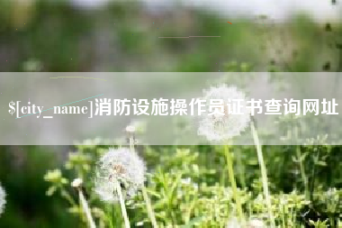 毕节消防设施操作员证书查询网址