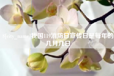 毕节我国119消防日宣传日是每年的几月几日