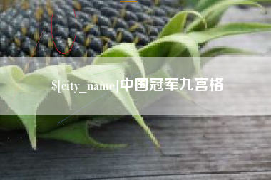 毕节中国冠军九宫格