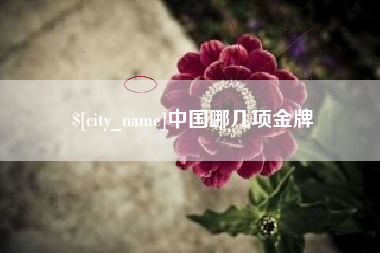 毕节中国哪几项金牌