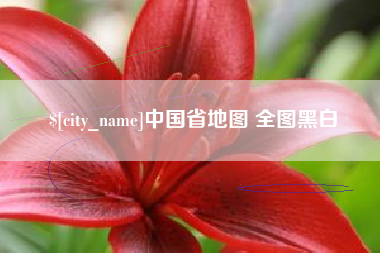 毕节中国省地图 全图黑白