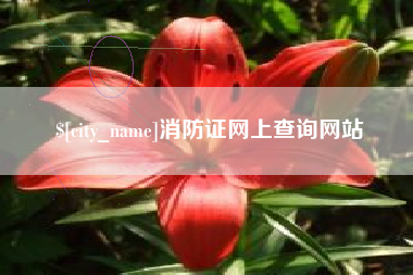 毕节消防证网上查询网站