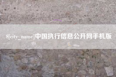 毕节中国执行信息公开网手机版