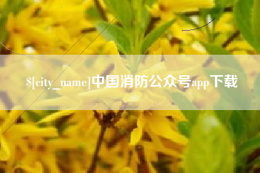 毕节中国消防公众号app下载