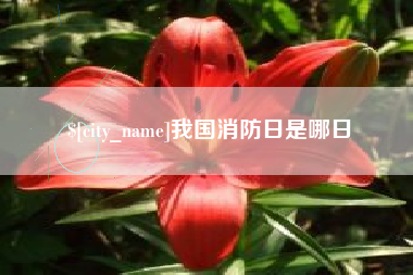 毕节我国消防日是哪日