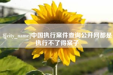 毕节中国执行案件查询公开网都是执行不了得案子