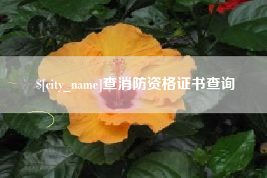 毕节查消防资格证书查询