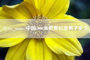毕节中国5000米世界纪录男子多少
