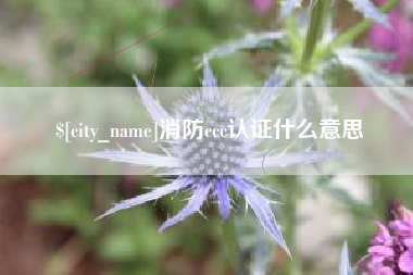 毕节消防ccc认证什么意思