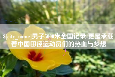 毕节男子5000米全国记录-更是承载着中国田径运动员们的热血与梦想