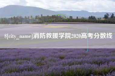 毕节消防救援学院2020高考分数线