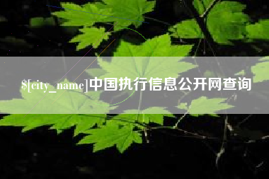 毕节中国执行信息公开网查询