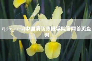 毕节中国消防救援学院官网首页查询