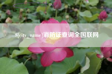 毕节消防证查询全国联网