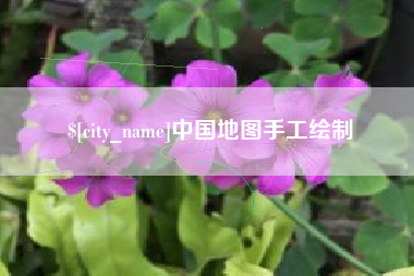 毕节中国地图手工绘制