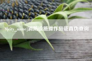 毕节消防设施操作员证真伪查询