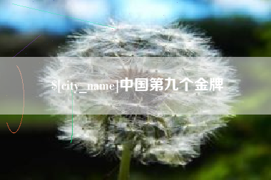 毕节中国第九个金牌