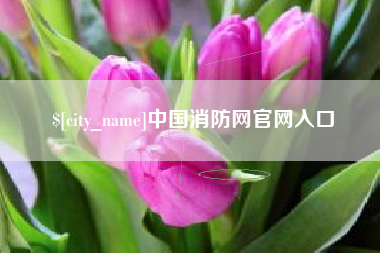 毕节中国消防网官网入口